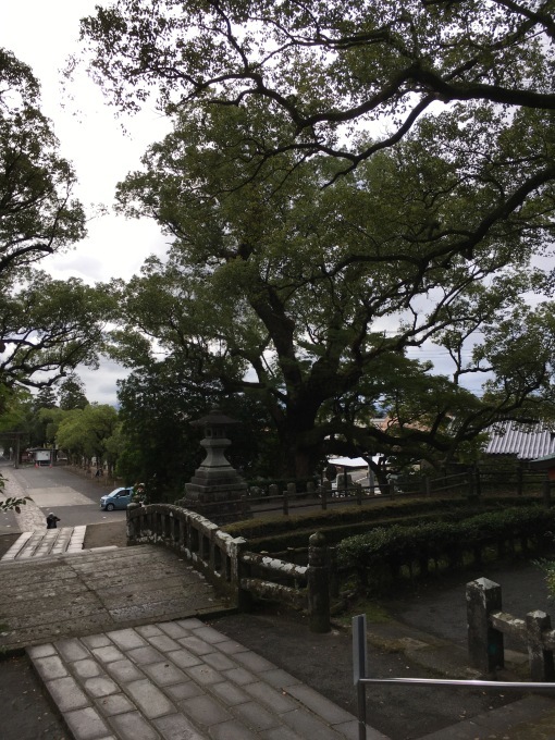 『ツール・ド・じゃぽん:鹿児島編その1・・』_f0068334_18481104.jpeg