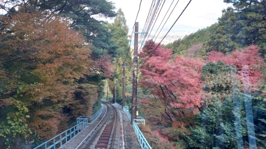 いつもの夢を追いかけて?ですやん!_f0056935_15464580.jpg