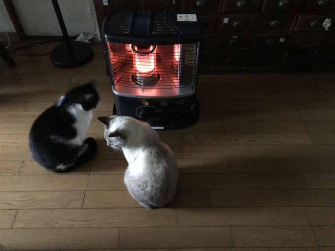 流し台のリメイクDIY_d0101846_07275705.jpeg