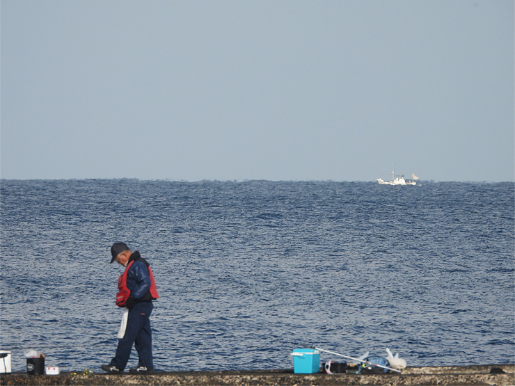 浜辺の黄鶺鴒_f0214649_04404435.jpg