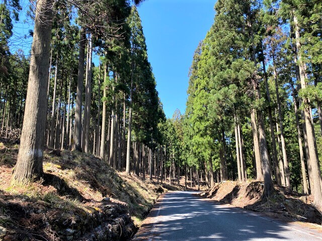 寒いやんけッ・爆_c0099564_09330297.jpg