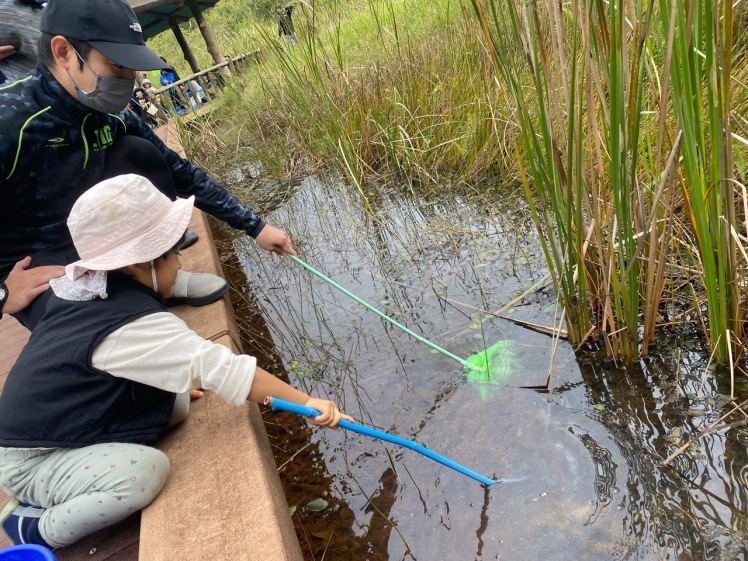 青空ようちえん〔週末〕メダカの池あそび(11/23)アミを持ってメダカやエビを探そう!親子で生き物探しや水遊びをのんびり楽しみました!_d0363878_20370137.jpeg