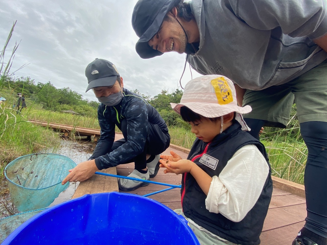 青空ようちえん〔週末〕メダカの池あそび(11/23)アミを持ってメダカやエビを探そう!親子で生き物探しや水遊びをのんびり楽しみました!_d0363878_20391504.jpeg