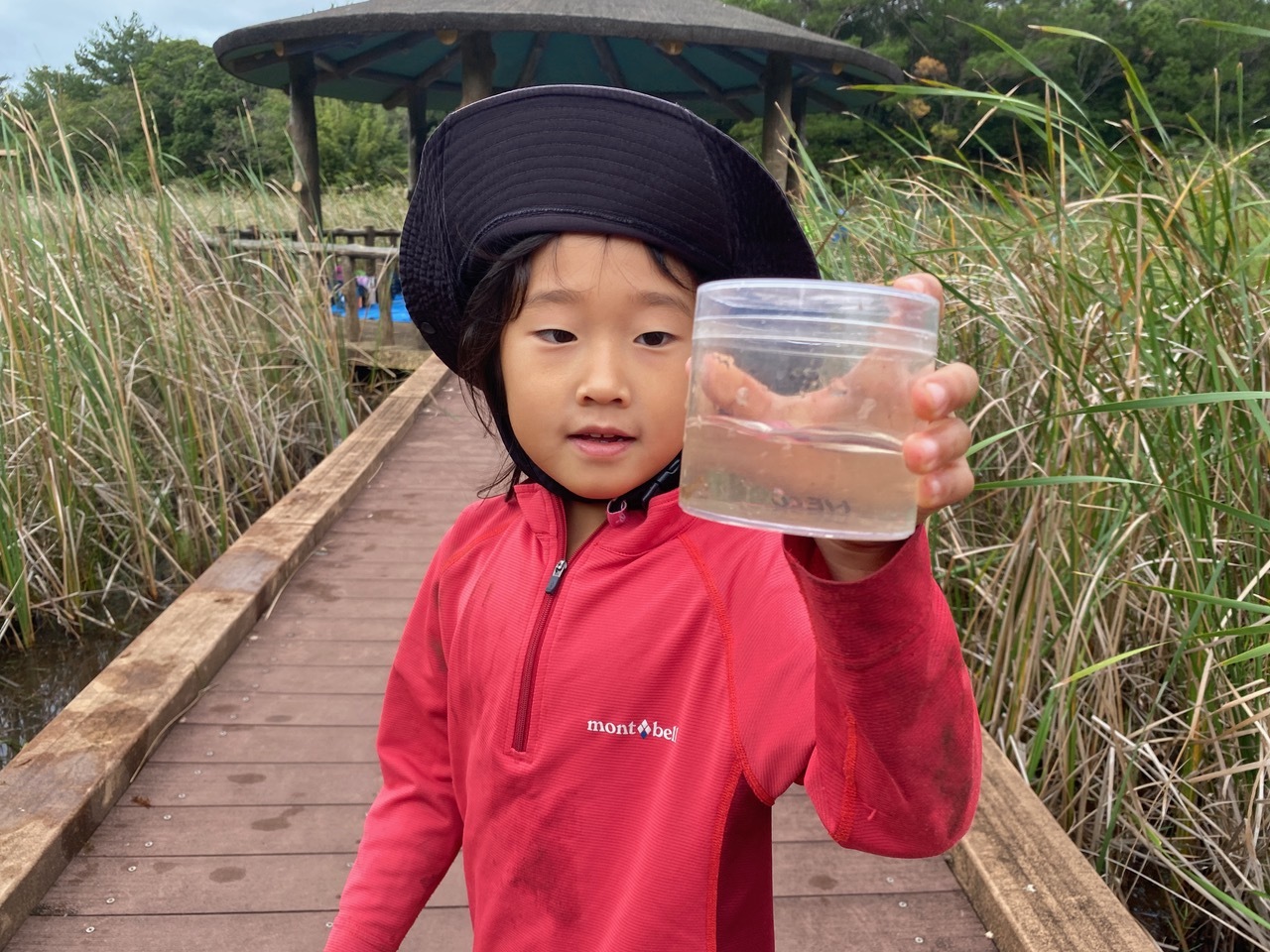 青空ようちえん〔週末〕メダカの池あそび(11/23)アミを持ってメダカやエビを探そう!親子で生き物探しや水遊びをのんびり楽しみました!_d0363878_20394464.jpeg