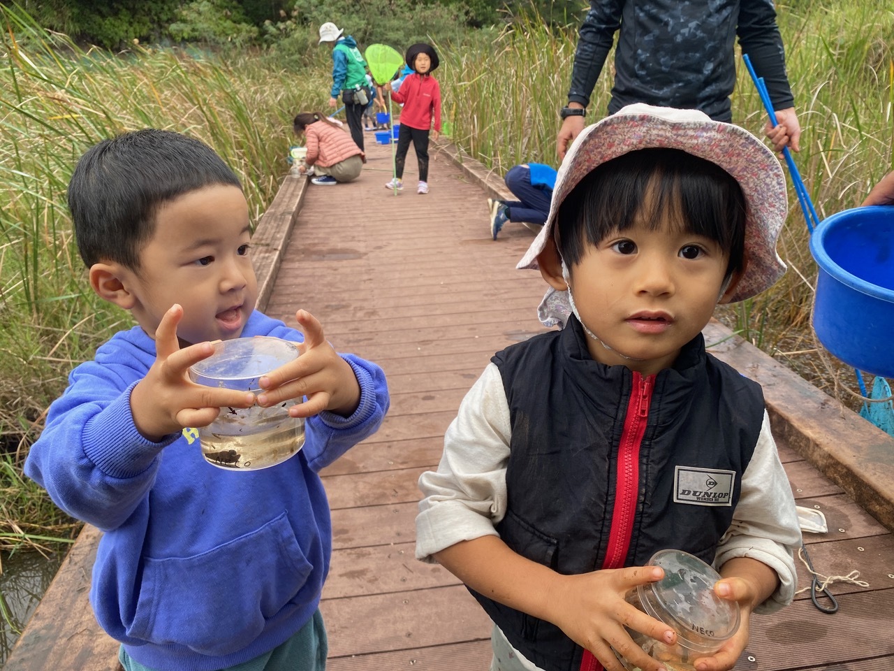 青空ようちえん〔週末〕メダカの池あそび(11/23)アミを持ってメダカやエビを探そう!親子で生き物探しや水遊びをのんびり楽しみました!_d0363878_20394528.jpeg