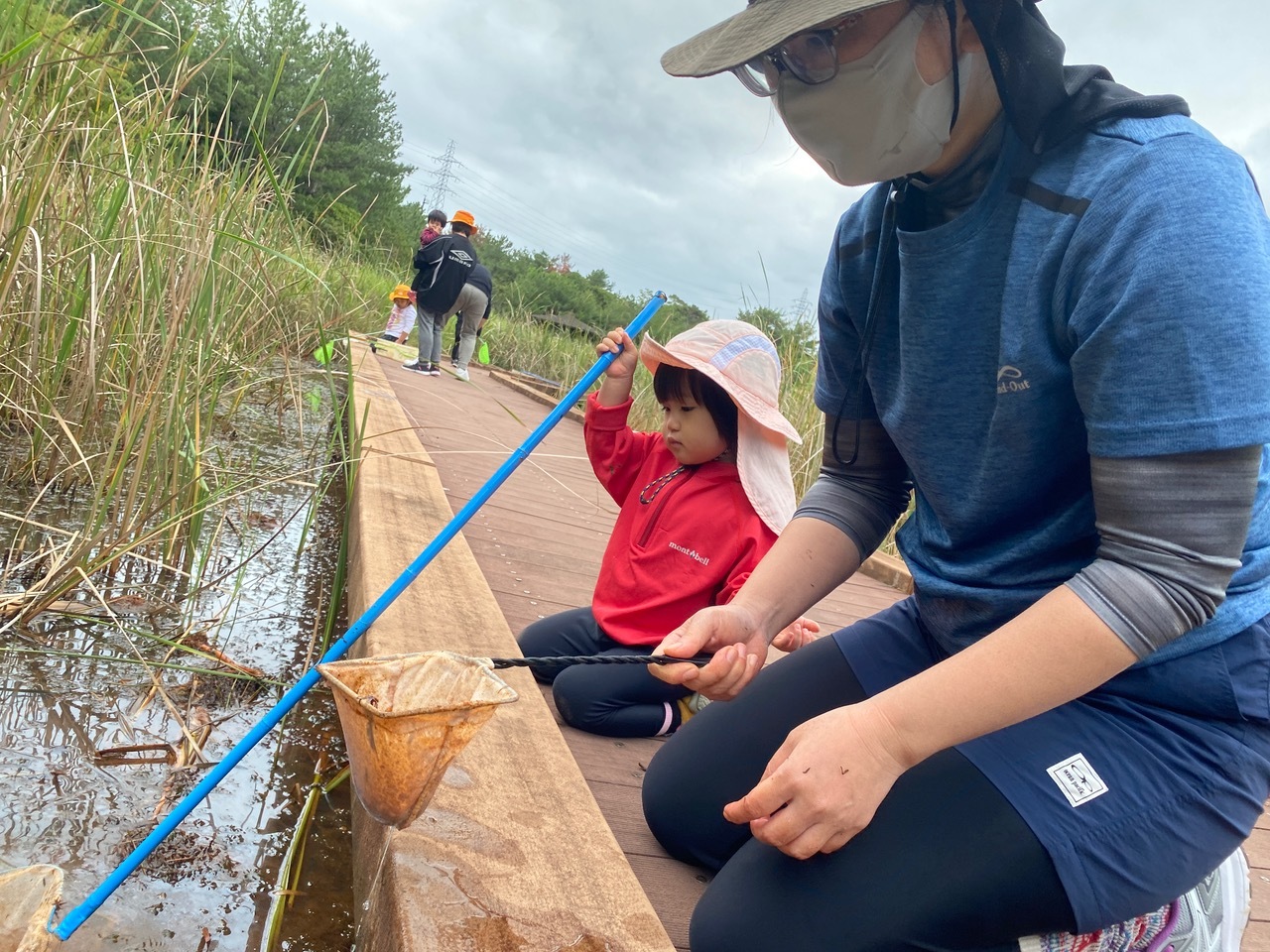 青空ようちえん〔週末〕メダカの池あそび(11/23)アミを持ってメダカやエビを探そう!親子で生き物探しや水遊びをのんびり楽しみました!_d0363878_20394547.jpeg