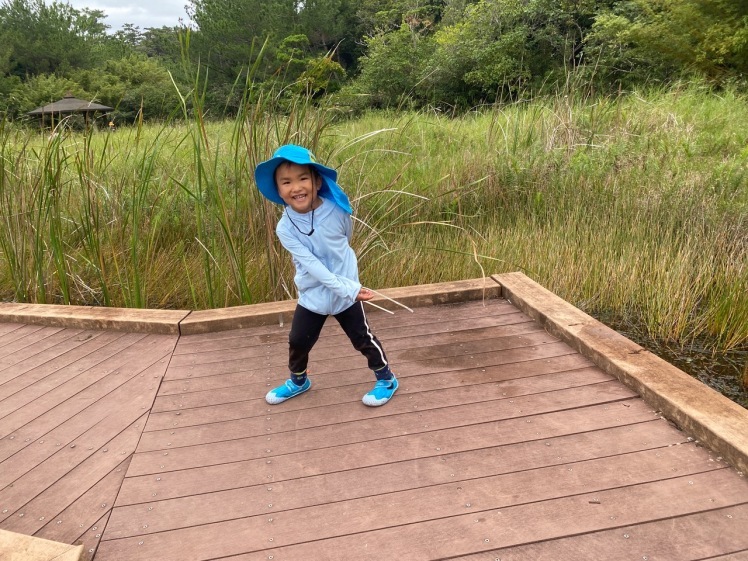 青空ようちえん〔週末〕メダカの池あそび(11/23)アミを持ってメダカやエビを探そう!親子で生き物探しや水遊びをのんびり楽しみました!_d0363878_20404413.jpeg