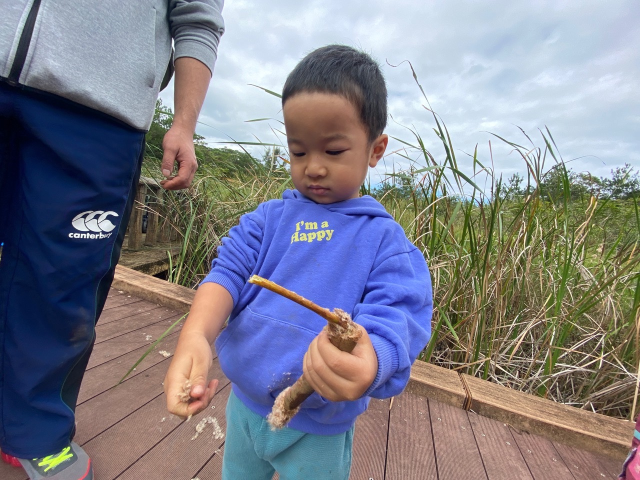 青空ようちえん〔週末〕メダカの池あそび(11/23)アミを持ってメダカやエビを探そう!親子で生き物探しや水遊びをのんびり楽しみました!_d0363878_20404557.jpeg