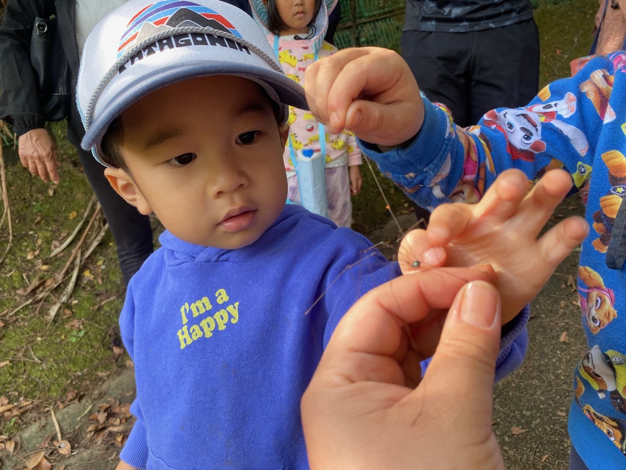 青空ようちえん〔週末〕メダカの池あそび(11/23)アミを持ってメダカやエビを探そう!親子で生き物探しや水遊びをのんびり楽しみました!_d0363878_20443930.jpeg