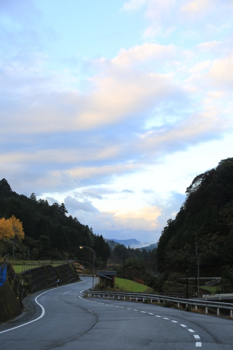 黄色くなりました_c0358784_20032360.jpg