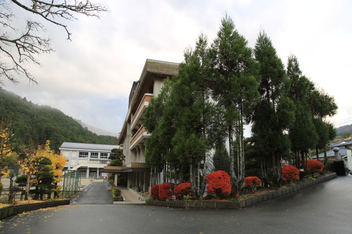 黄色くなりました_c0358784_20044077.jpg