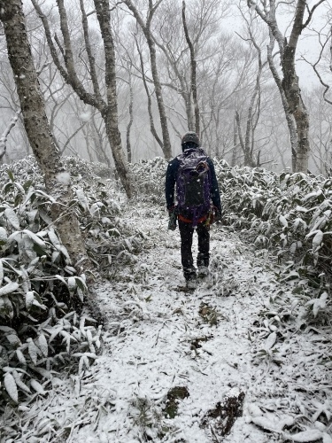 風不死岳～沢登り、雪道、苔の美しさを堪能～_d0198793_17405987.jpeg