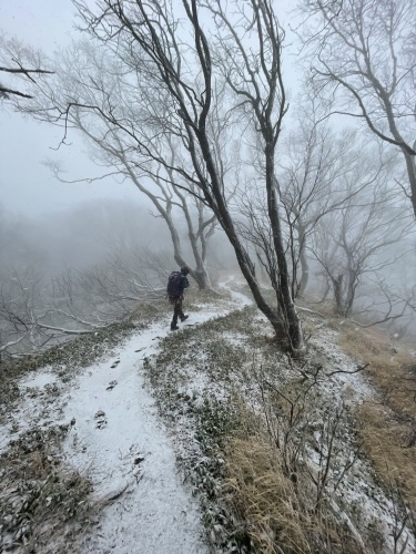 風不死岳～沢登り、雪道、苔の美しさを堪能～_d0198793_17420331.jpeg