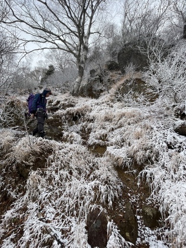 風不死岳～沢登り、雪道、苔の美しさを堪能～_d0198793_17424410.jpeg