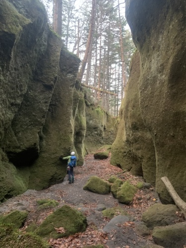 風不死岳～沢登り、雪道、苔の美しさを堪能～_d0198793_17442311.jpeg