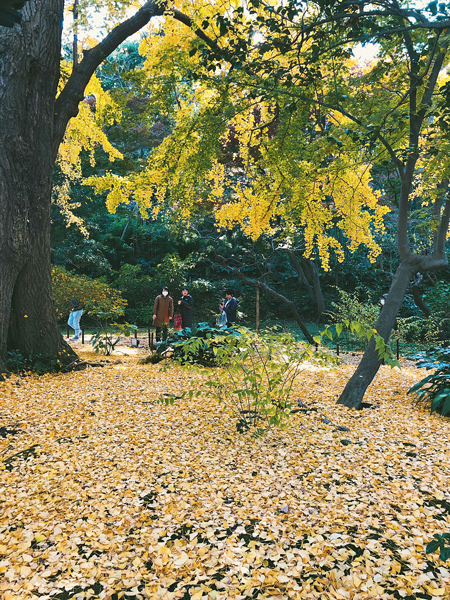 秋の三渓園でハイジュエリーと紅葉を観る_c0134902_20560077.jpg