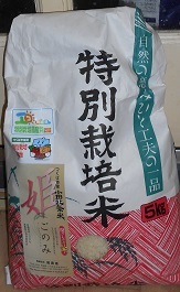きなこのぼんぼんその後 昆布 カワハギの味噌汁_d0009105_01475488.jpg