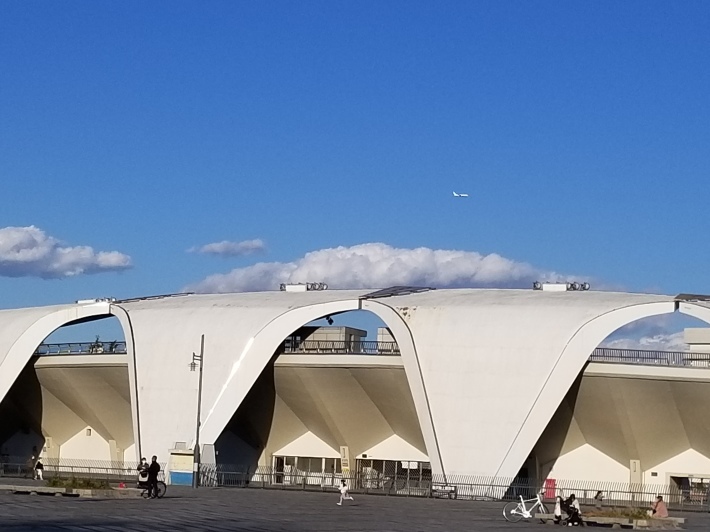 生き甲斐_e0016828_10205338.jpg