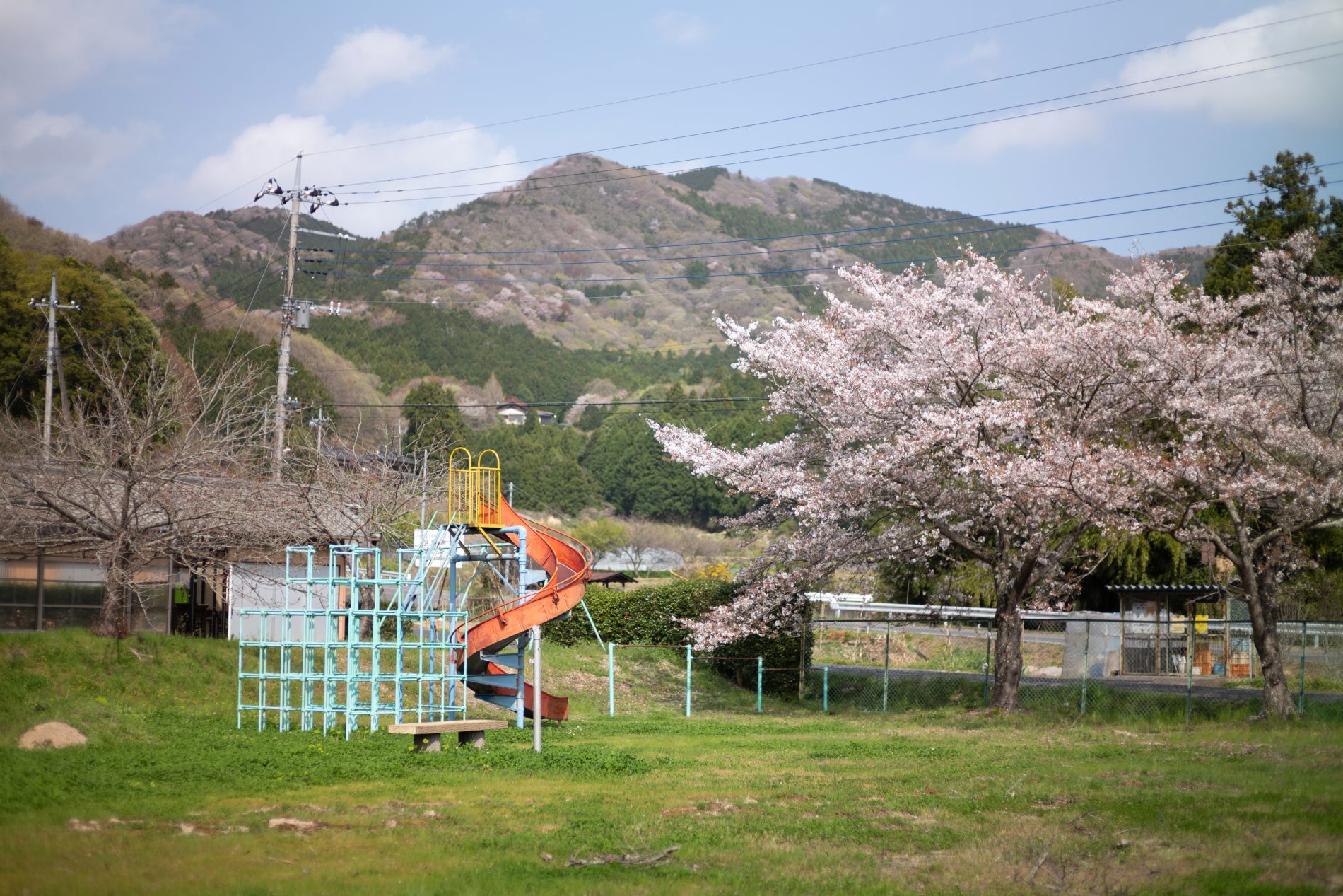 【重要文化財｜善光寺 楼門】　行き方、見学のしかた　（茨城県）_b0212342_12575482.jpg