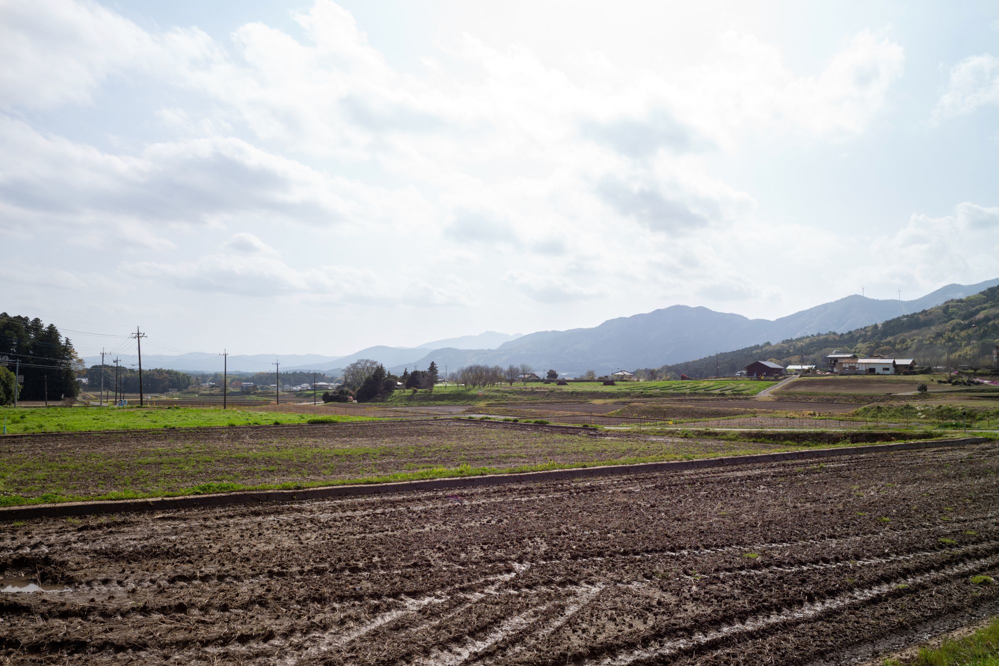 【重要文化財|善光寺 楼門】 行き方、見学のしかた (茨城県)_b0212342_13183041.jpg