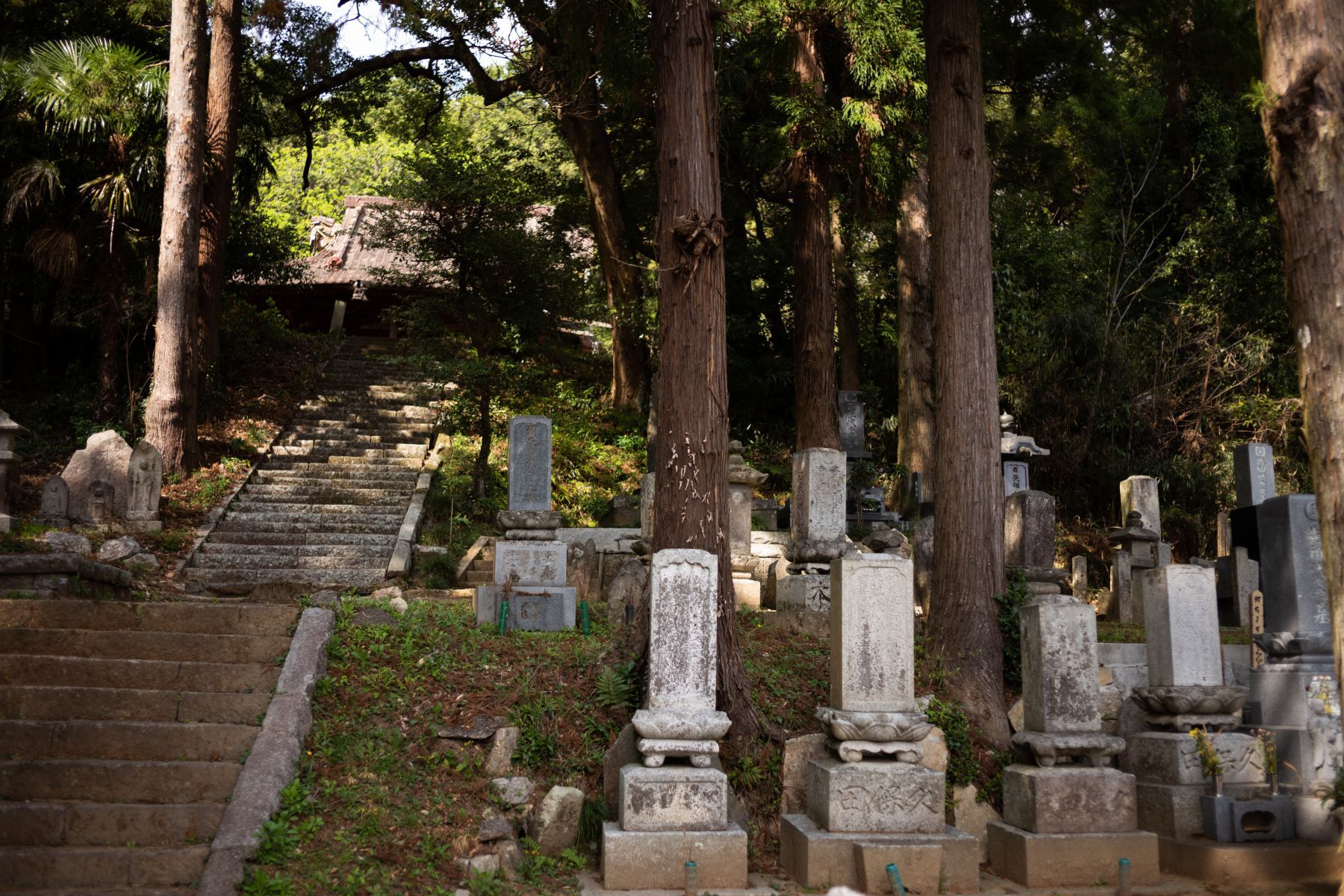 【重要文化財|善光寺 楼門】 行き方、見学のしかた (茨城県)_b0212342_13235825.jpg