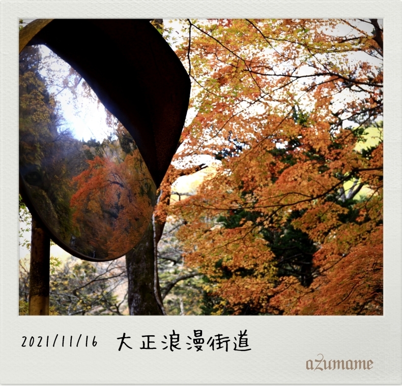 カーブミラーの紅葉_d0376975_20483763.jpg