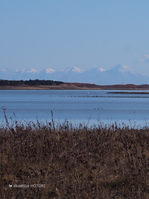 ワッカの海_f0150377_17090283.jpg