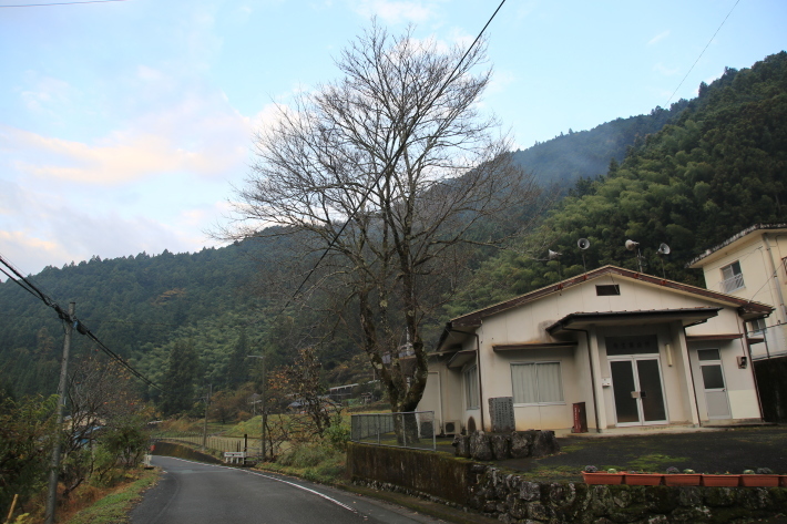 芋炊きと霧の朝_c0358784_23320780.jpg