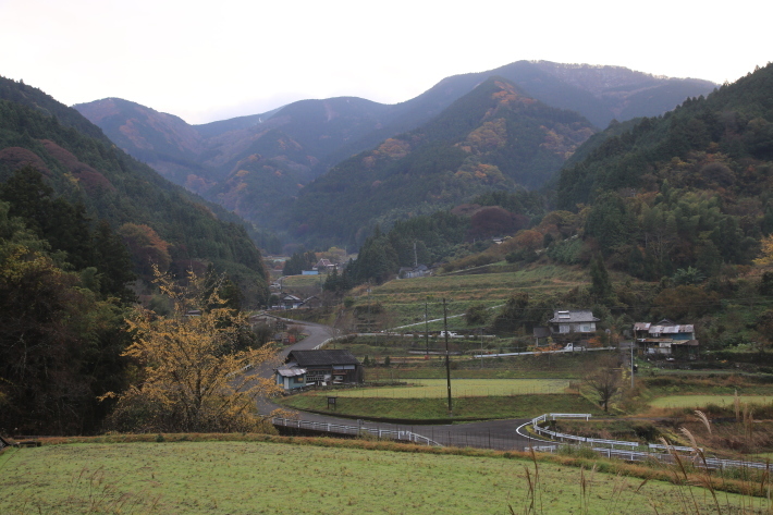 芋炊きと霧の朝_c0358784_23335232.jpg