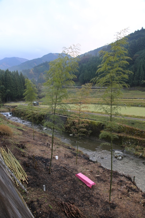 芋炊きと霧の朝_c0358784_23351699.jpg