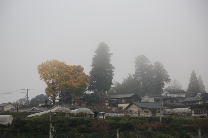 芋炊きと霧の朝_c0358784_23372923.jpg