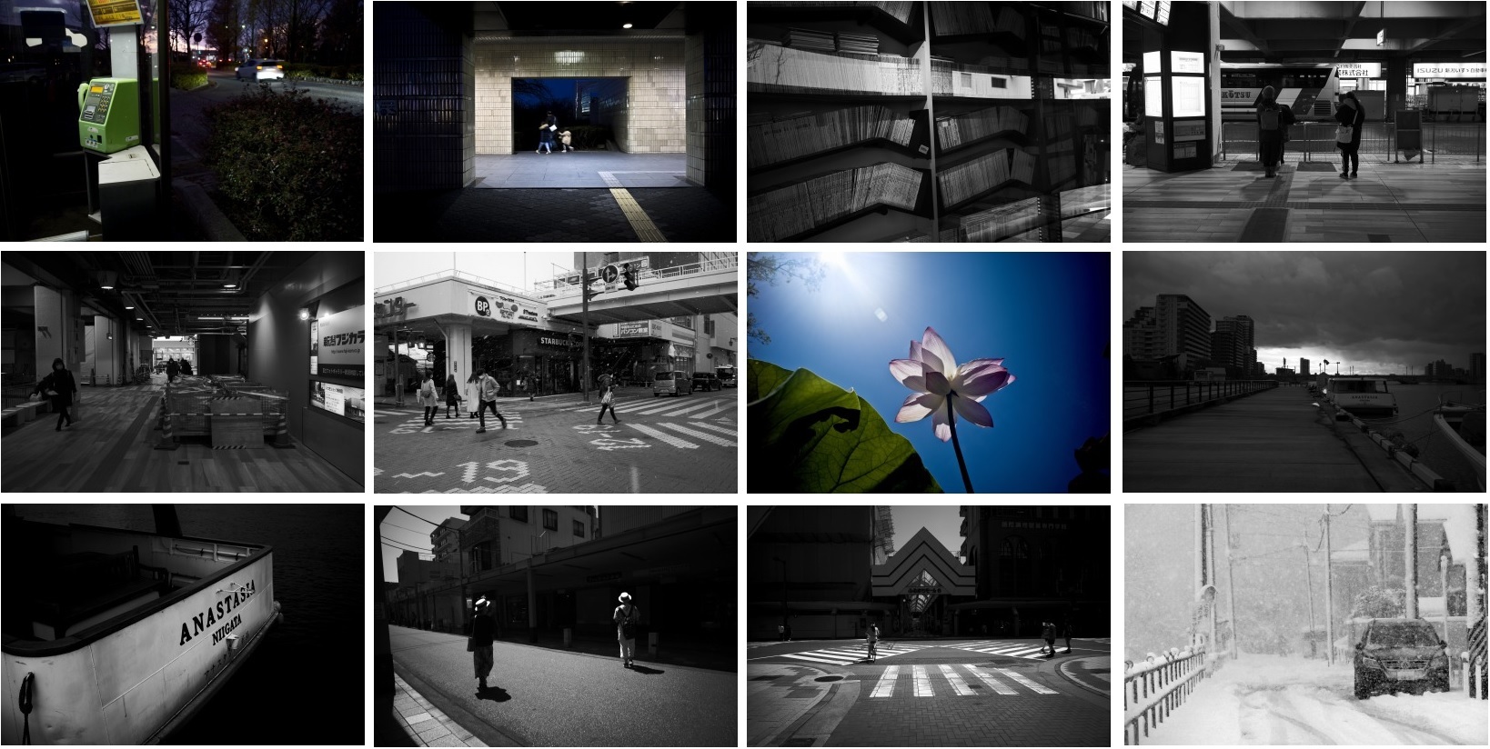 安藤喜治写真展 「Stand Still #2 季節」WEBカタログ 20211126_c0082800_21270281.jpg