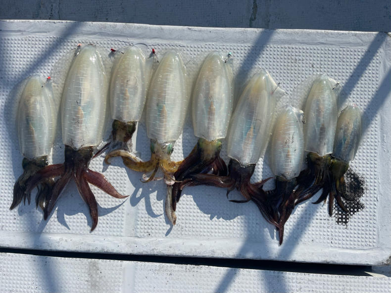 三重県 志摩沖 つり船 まると屋