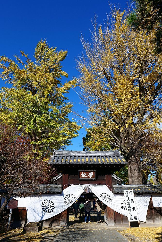 「足利学校」に立ち寄る。11月23日、無料公開日だった♪ 孔子像も拝観出来た。_a0031821_16460699.jpg