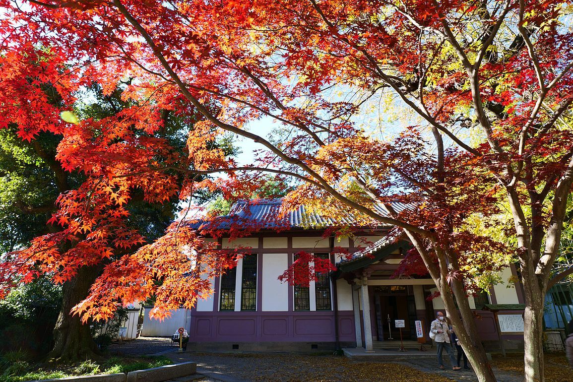 「足利学校」に立ち寄る。11月23日、無料公開日だった♪ 孔子像も拝観出来た。_a0031821_16551689.jpg