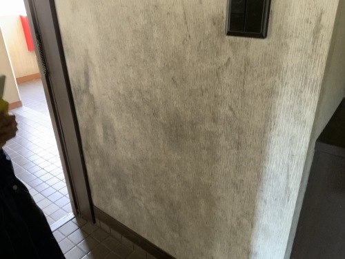 仕入れと現調・倉庫確認・後半に注目_f0031037_17092000.jpg