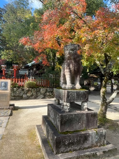 ご来店のお客様・江戸小紋にお洒落な紅葉の刺繍帯。_f0181251_11270229.jpg