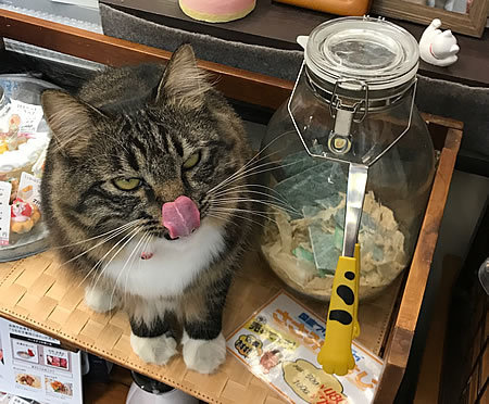 本日より月末セール開催！！_e0362456_13192206.jpg