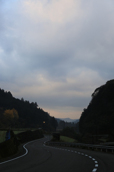 コウテイダリア_c0358784_22242281.jpg