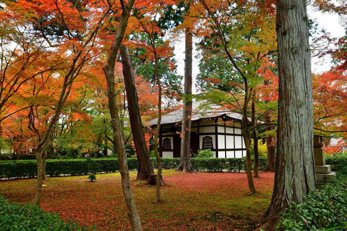 京都紅葉徘徊2021　真正極楽寺真如堂-3_f0374895_17351972.jpg