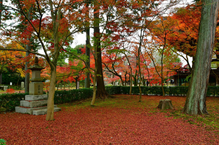 京都紅葉徘徊2021　真正極楽寺真如堂-3_f0374895_17402494.jpg