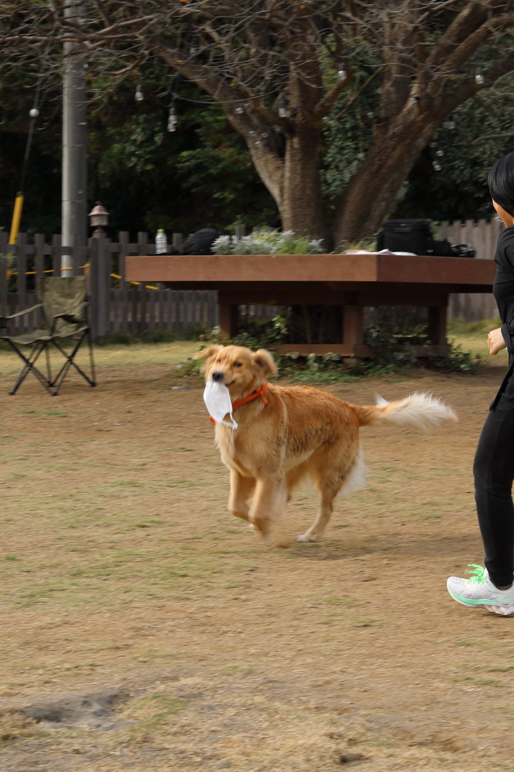 親戚会(2)_b0275998_16073844.jpg