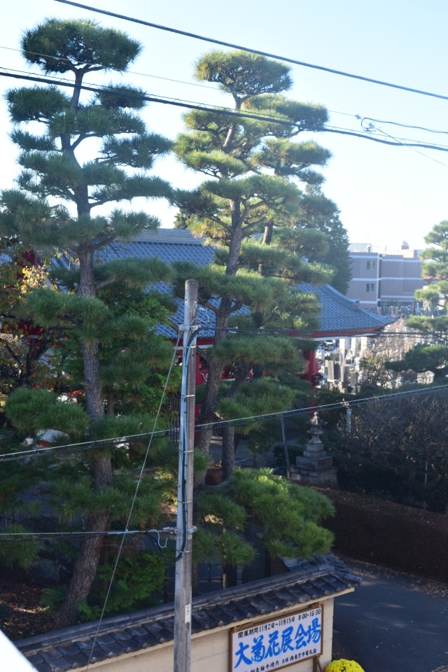 東京西東京市の如意輪寺山門(建築家・山中眞三郎作品研究)_f0142606_05402317.jpg