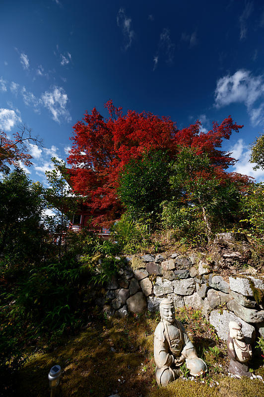 2021年京都の紅葉@内緒の場所_f0032011_18240201.jpg