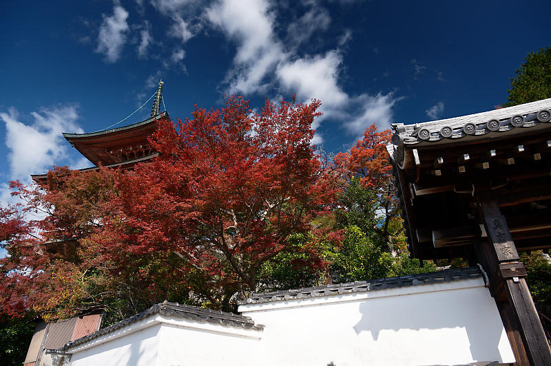 2021年京都の紅葉@内緒の場所_f0032011_18240213.jpg