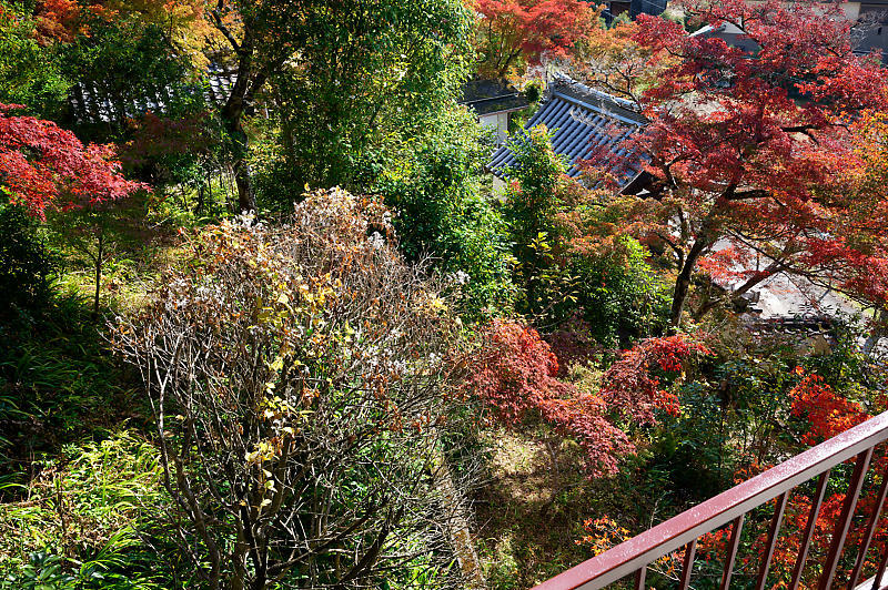 2021年京都の紅葉@内緒の場所_f0032011_18240359.jpg