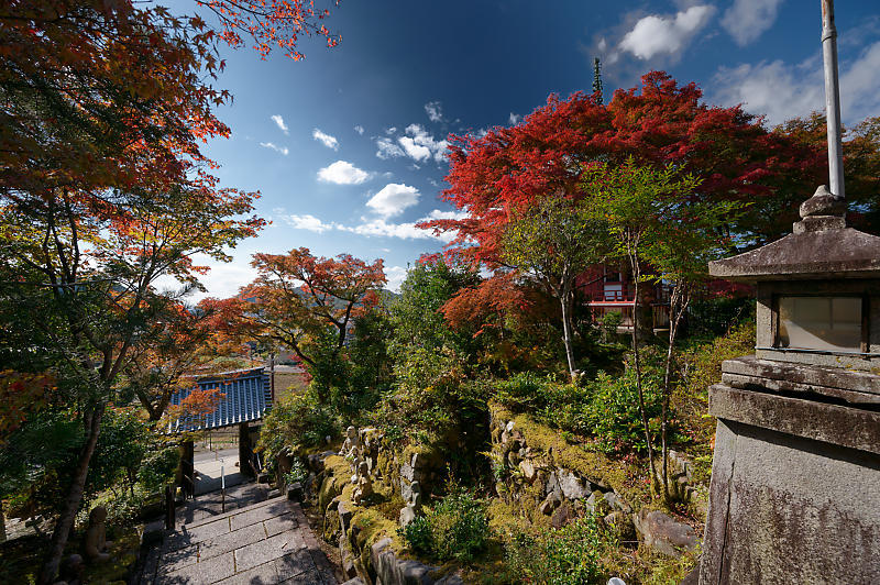 2021年京都の紅葉@内緒の場所_f0032011_18251633.jpg