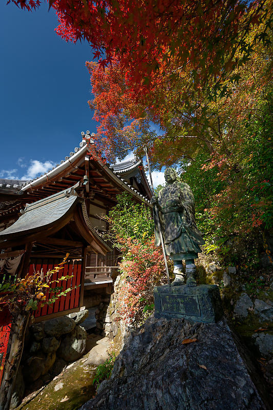 2021年京都の紅葉@内緒の場所_f0032011_18251697.jpg