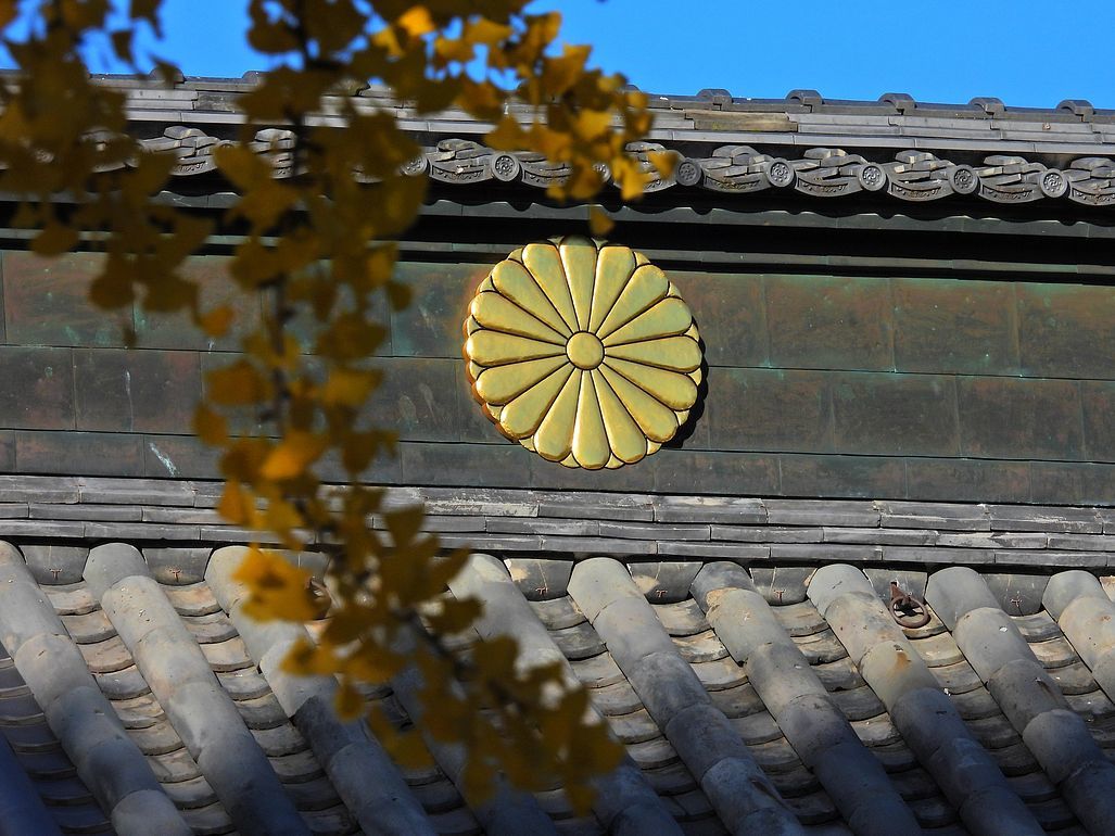 足利市・鑁阿寺の大銀杏が見事な真っ黄色の豪華絢爛♪_a0031821_10512717.jpg
