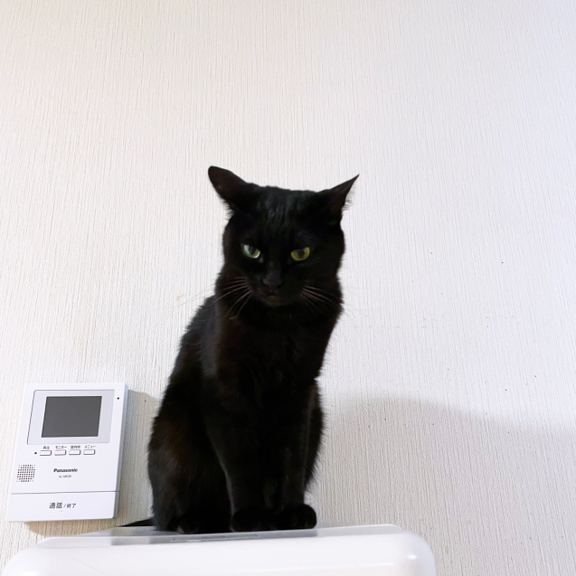 やめてください!_d0355333_20083212.jpg